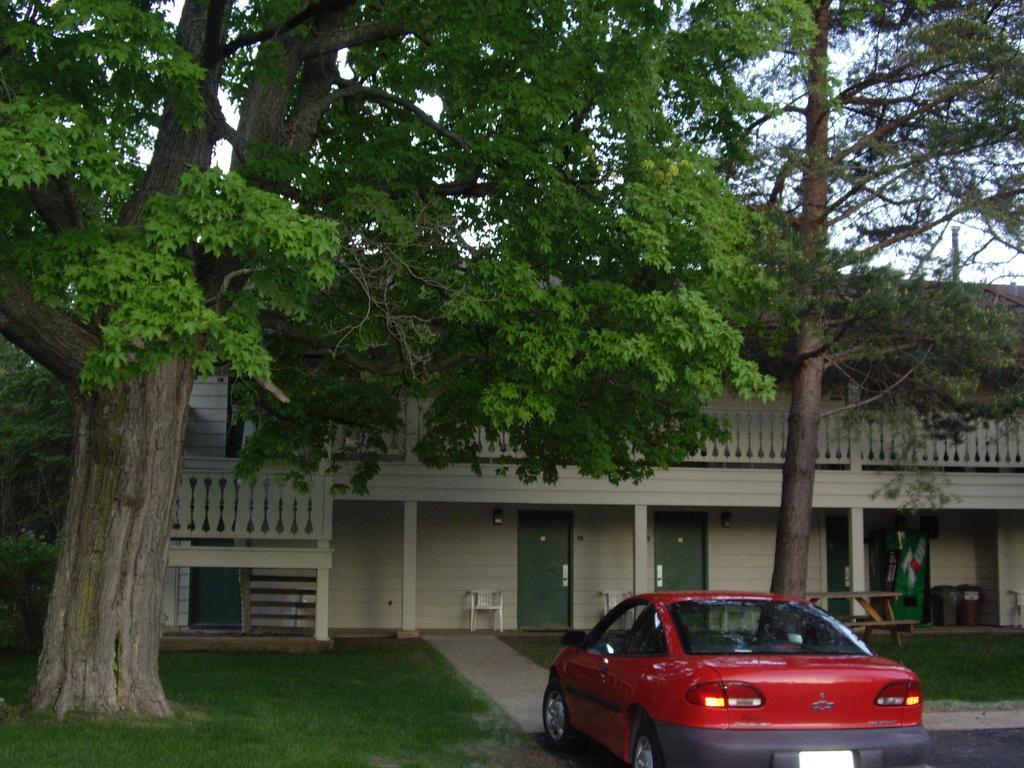 Parkwood Lodge Fish Creek Esterno foto