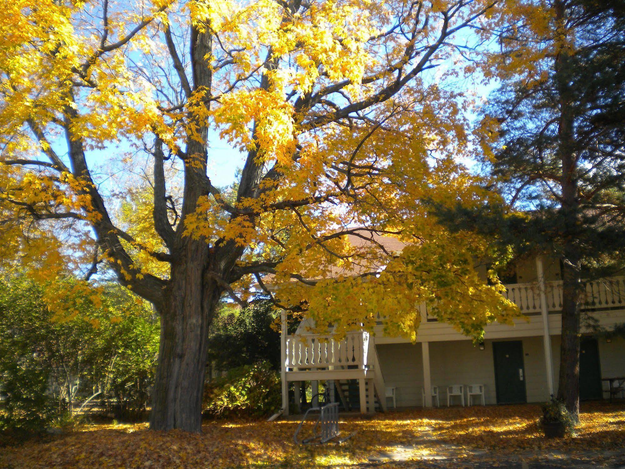 Parkwood Lodge Fish Creek Esterno foto