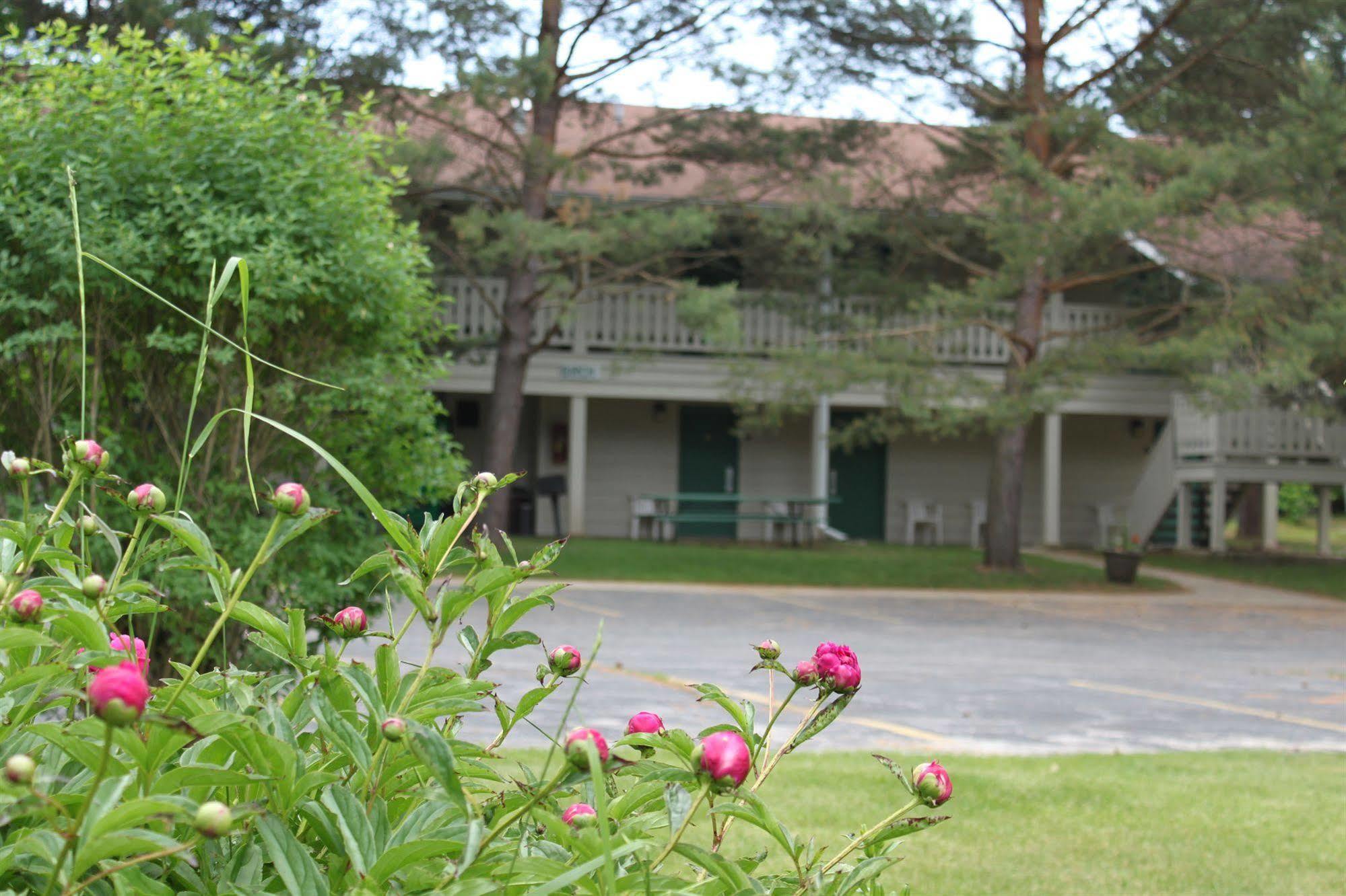 Parkwood Lodge Fish Creek Esterno foto